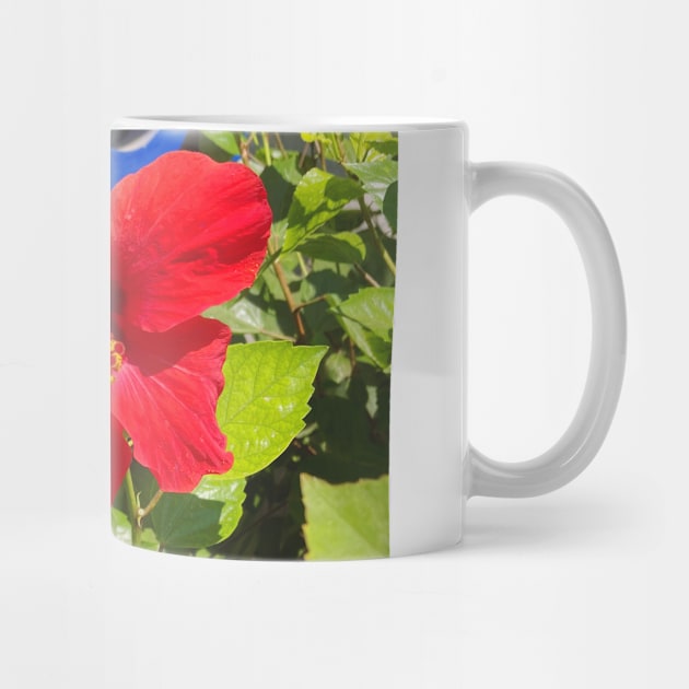 Pretty Red Flower with green leaves nature lovers beautiful photography design by BoogieCreates